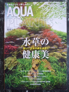 [ aqua растения 2019 N16 ] водоросли. здоровье прекрасный прекрасный вода .. источник . достижение!/ nature аквариум / aqua жизнь /AQUAPLANTS/ водоросли аквариум 