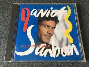 ★☆【CD】A Change Of Heart / デヴィッド・サンボーン David Sanborn☆★