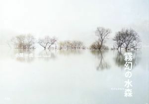  туман иллюзия. вода лес | маленький . один .( фотография дом )