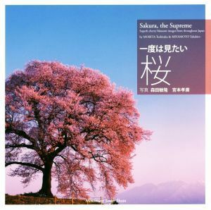 写真集　一度は見たい桜／森田敏隆(その他),宮本孝廣(その他)