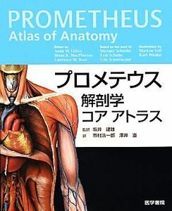 プロメテウス解剖学コア　アトラス／Ａｎｎｅ　Ｍ．Ｇｉｌｒｏｙ，Ｂｒａｉｎ　Ｒ．ＭａｃＰｈｅｒｓｏｎ，Ｌａｗｒｅｎｃｅ　Ｍ．Ｒｏｓｓ