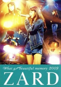 ＺＡＲＤ　Ｗｈａｔ　ａ　ｂｅａｕｔｉｆｕｌ　ｍｅｍｏｒｙ　２００９／ＺＡＲＤ