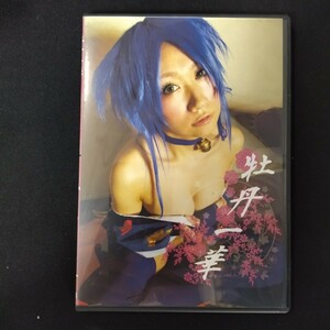 CD 写真集 コスプレ デジタル写真集 同人CD-ROM イメージ 牡丹一華