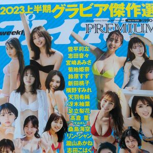  週刊プレイボーイＰＲＥＭＩＵＭ　２０２３上半期グラビア傑作選 （新品）