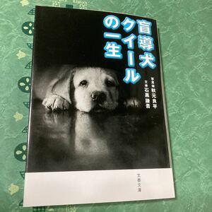 【中古品】盲導犬クイールの一生 写真・秋元良平 文・石黒謙吾 文春文庫 定価（本体 650円+税）