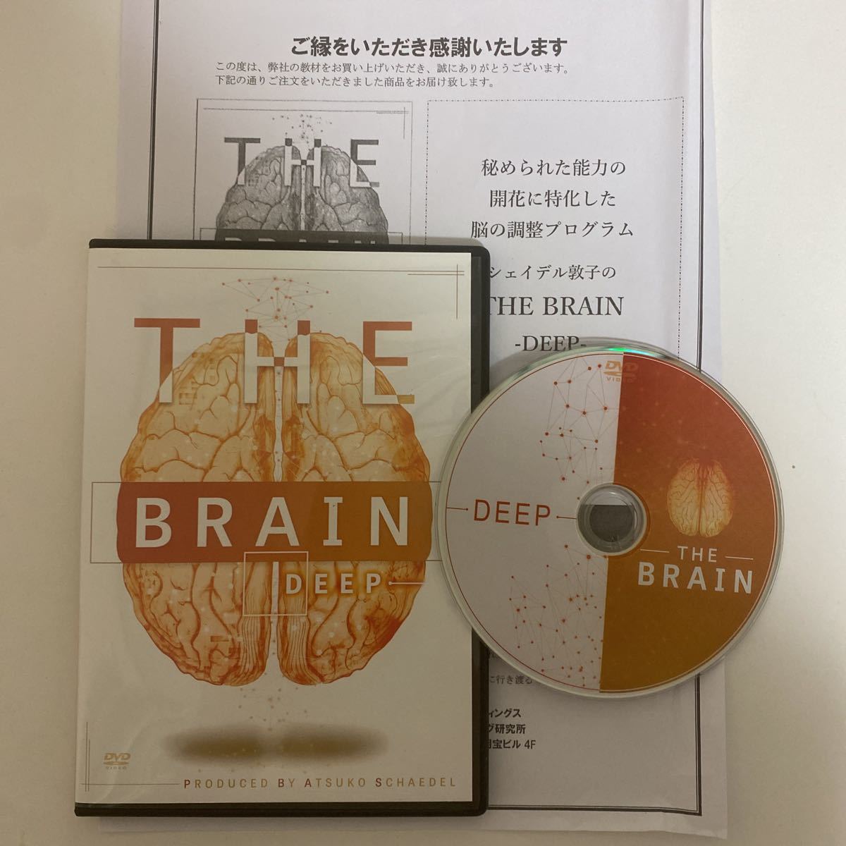 24時間以内発送 整体DVD【THE BRAIN DEEP】シェイデル敦子 手技DVD