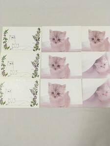 ネコのポストカード　絵はがき8枚　Satoshi konuma
