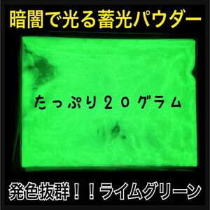 【人気】ライムグリーンたっぷり20g入り　暗闇で光るパウダー