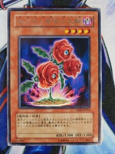 ◇B5072◇遊戯王OCG・返り咲く薔薇の大輪 レア TSHD-JP016◇