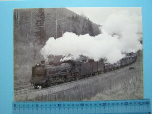 (B29)846 写真 古写真 鉄道 鉄道写真 蒸気機関車 D51511
