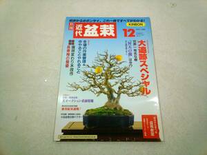  modern times bonsai 2000 year 12 month 