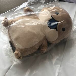 ふーごろさん　ぬいぐるみ　BIG じーたろ君　アオジタトカゲ　送料込