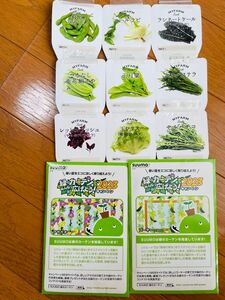 固定種・野菜の種セット　9種類　アサガオの種、ゴーヤーの種　各1袋④