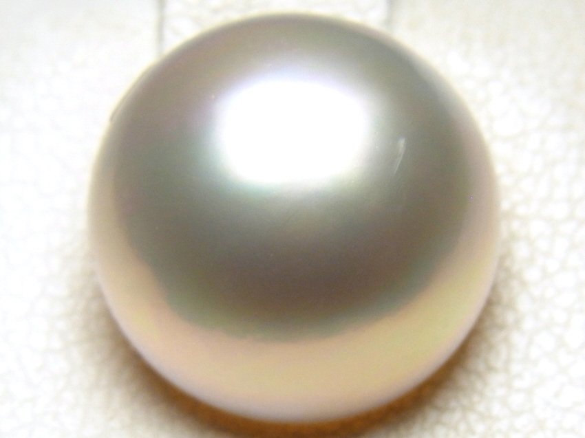 最高級ジュエリー マベ真珠 マベパール 本真珠 16.40mm ルース 11.55