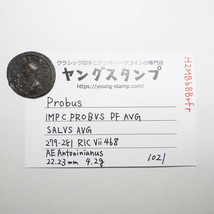 【古代ローマコイン】Probus（プロブス）クリーニング済 ブロンズコイン 銅貨 アントニニアヌス(H2MBbBBrfr)_画像9