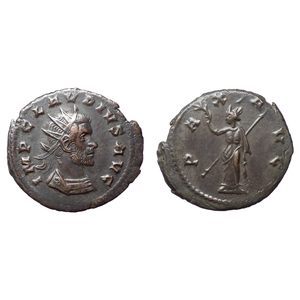 【古代ローマコイン】Claudius II（クラウディウス・ゴティクス）クリーニング済 ブロンズコイン 銅貨 アントニニアヌス(2br5kxj2dB)