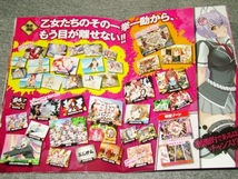 ☆非売品　未使用　CR百花繚乱サムライガールズ　カタログ☆パチンコ　パチスロ　レア_画像5