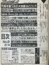 ★週刊プレイボーイ 1992/2/16 中嶋美智代 三浦理恵子 胡桃沢ひろ子 菅原かおり 濱田マリ 篠原利佳 飯村いづみ 小橋礼奈 かとうれいこ_画像9