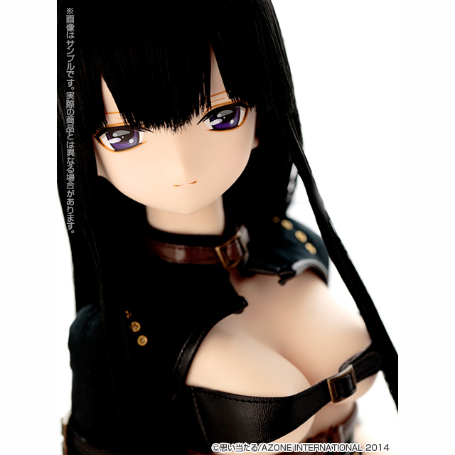 2023年最新】ヤフオク! -ブラックレイヴン アゾンの中古品・新品・未