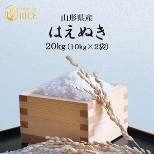 米 20kg はえぬき 山形県産 10kg×2袋 新米 お米 送料無料 玄米 白米 令和5年産 精米無料 一等米 30kg 10kg も販売中