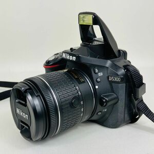 Nikon 一眼レフカメラ D5300 