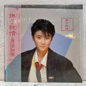 美盤 LP 帯付き 原田知世 クリアバイナル 撫子純情 18AH2002