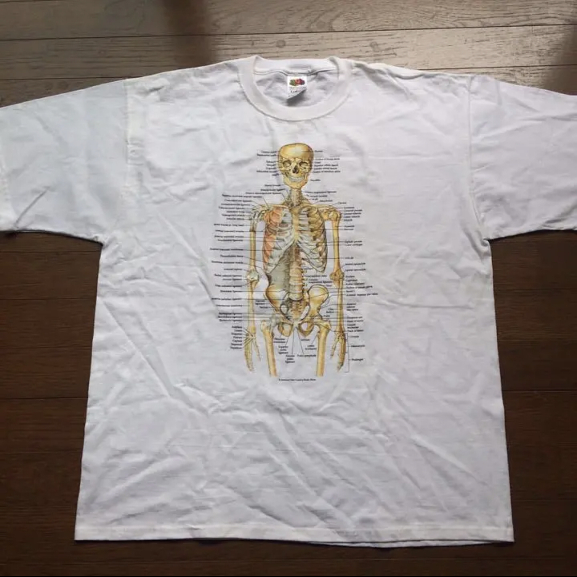 眼球 解剖図 Tシャツ 人体模型 アイボール NIRVANA カートコバーン-