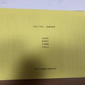 送料込 神戸大学付属中等教育学校 平成27 28年度 一般適性検査 言語表現 数理研究 自然環境 市民社会 解答例