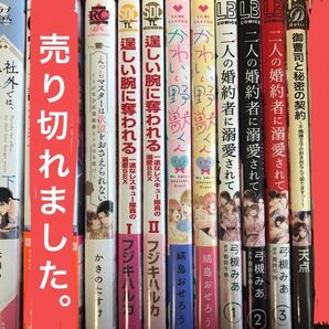 漫画11冊セット売り。社外では、理想の上司が…/逞しい腕に奪われる/えっちマスターは…/かわいい野獣くん/ etc…