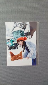 SKE48 熊崎晴香 1st写真集 表情ガール 封入特典 ポストカード④