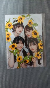 BOMB(ボム) 2023年9月号 NGT48 中井りか・西潟茉莉奈・小越春花・北村優羽 TSUTAYAオンライン/蔦屋書店 新潟万代店 限定特典 ポストカード