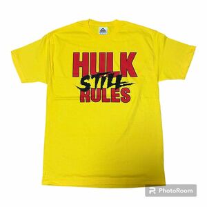 00s 未使用 WWE ハルクホーガン HULK STILE RULES L