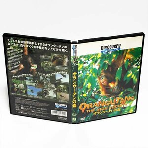 オランウータンの森 ディスカバリーチャンネル DVD ◆国内正規 DVD◆送料無料◆即決