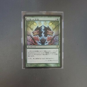 MTG 似通った生命 ISD 日本語 foil 1枚