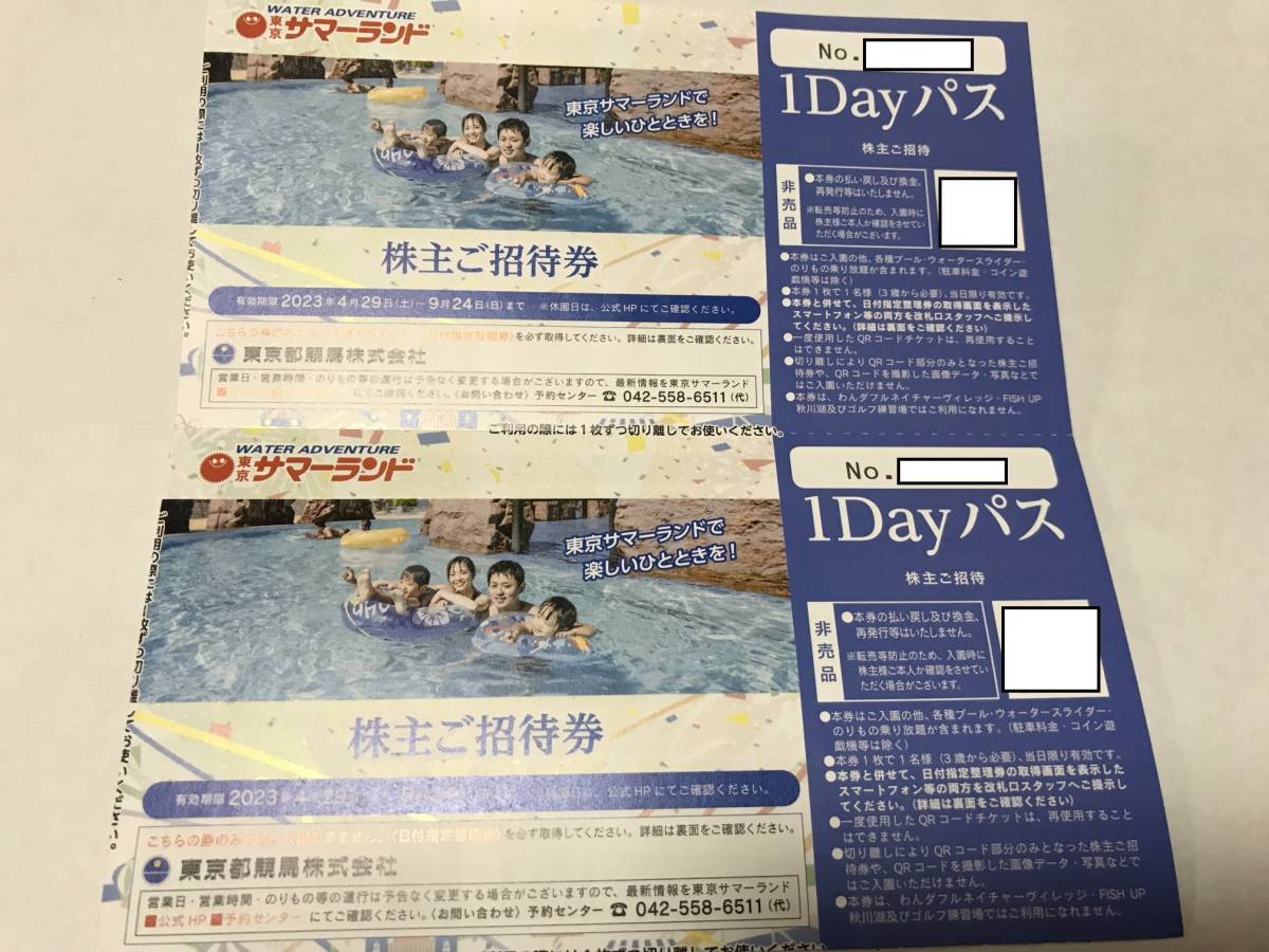 東京都競馬株主優待券東京サマーランド1Dayパス2枚セット(8月中もOK