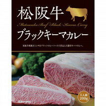 ご当地カレー 三重 松阪牛ブラックキーマカレー 10食セット_画像1