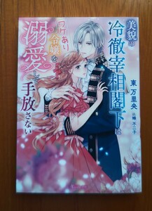 美貌の冷徹宰相閣下はワケあり令嬢を溺愛して手放さない★東万里央＝ヴァニラ文庫