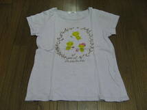 ユニクロ　UT 半袖Tシャツ　140 　白　ハチ　レターパック　同梱可 _画像1