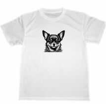 チワワ　ドライ　Tシャツ　犬　ペット　グッズ　 Chihuahua dog イラスト　アート　イヌ_画像1