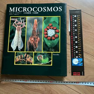 MICROCOSMOS／ミクロコスモス　昆虫たちの驚異の世界［日本版］帯付