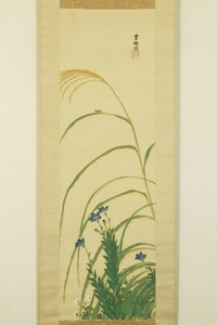 Art hand Auction [Auténtico] Pergamino colgante Sakakibara Shiho Autumn Grass con caja y caja doble, 1918, 30 años, pintor japonés, Asociación Nacional de Creación de Pintura, pintura de animales, cuadro, Obra de arte, libro, pergamino colgante