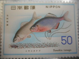 切手　古い切手　記念切手 　日本郵便　５０　みやたなご　ミヤタナゴ　TANAKIA TANAGO　魚　海　淡水魚　自然保護　等　　NIPPONーGー032