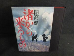 渚から来るもの　開高健　小口塗り大・日焼け有/BBZH