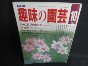 趣味の園芸　1987.10　シャコバサボテン　シミ日焼け強/BFE