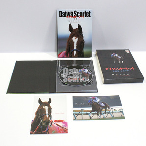 ダイワスカーレット 写真集＆DVD 風とともに 優駿 特別編集 永久保存版 コレクション/競馬/馬/映像 中古 ya0475の画像5