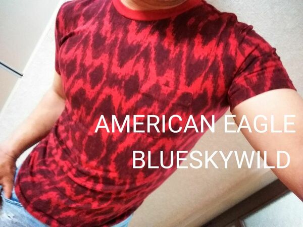 WILDグラフィックバイカーレッドデザインAmerican eagle Tシャツ　アメリカンイーグル