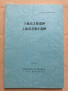 B3☆上飯島芝根遺跡 上飯島芝根Ⅱ遺跡 玉村町埋蔵文化財発掘調査報告書 第56集 玉村町教育委員会 玉村町遺跡調査会 2002☆