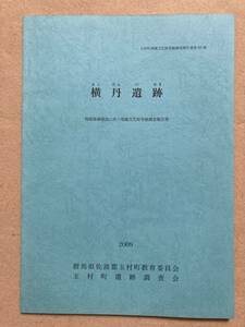 B9☆横丹遺跡 玉村町埋蔵文化財発掘調査報告書第85集 玉村町教育委員会 玉村町遺跡調査会 2009☆