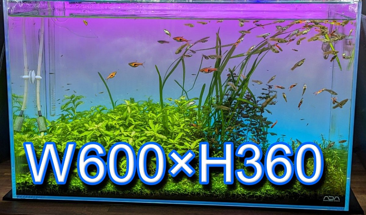 45×30cm水槽用 ライトスクリーン リモコンRGB調光機能付き｜PayPayフリマ