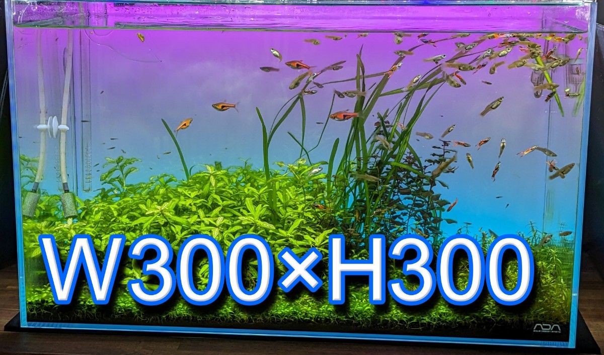 新作】水槽バックライトスクリーン 450×300｜PayPayフリマ